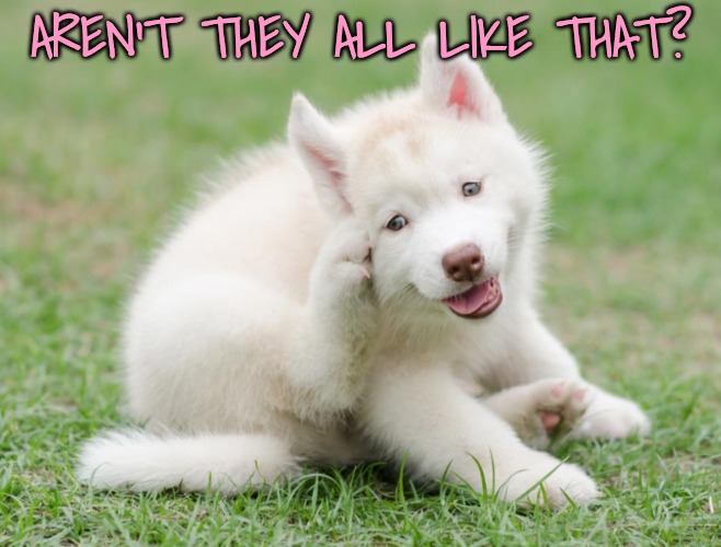 Think think think | AREN'T THEY ALL LIKE THAT? | image tagged in think think think | made w/ Imgflip meme maker