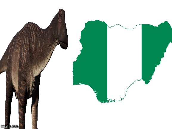 Blank White Template | image tagged in blank white template | made w/ Imgflip meme maker