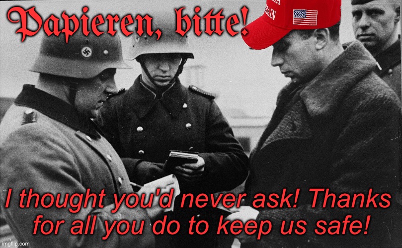Nazi papers please | Papieren, bitte! I thought you'd never ask! Thanks 
for all you do to keep us safe! | image tagged in nazi papers please | made w/ Imgflip meme maker