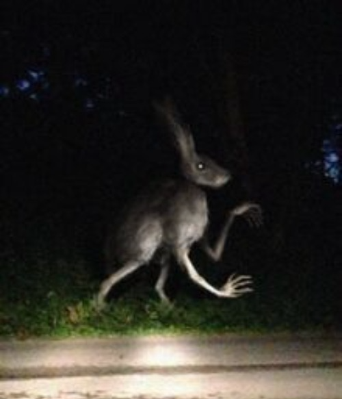 SCP-2617-LR Blank Meme Template