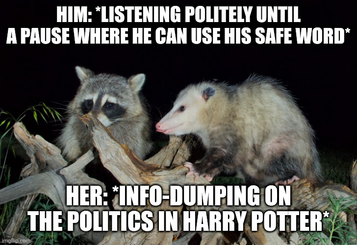 AuDHD Couple | HIM: *LISTENING POLITELY UNTIL A PAUSE WHERE HE CAN USE HIS SAFE WORD*; HER: *INFO-DUMPING ON THE POLITICS IN HARRY POTTER* | image tagged in special interest info-dumping | made w/ Imgflip meme maker