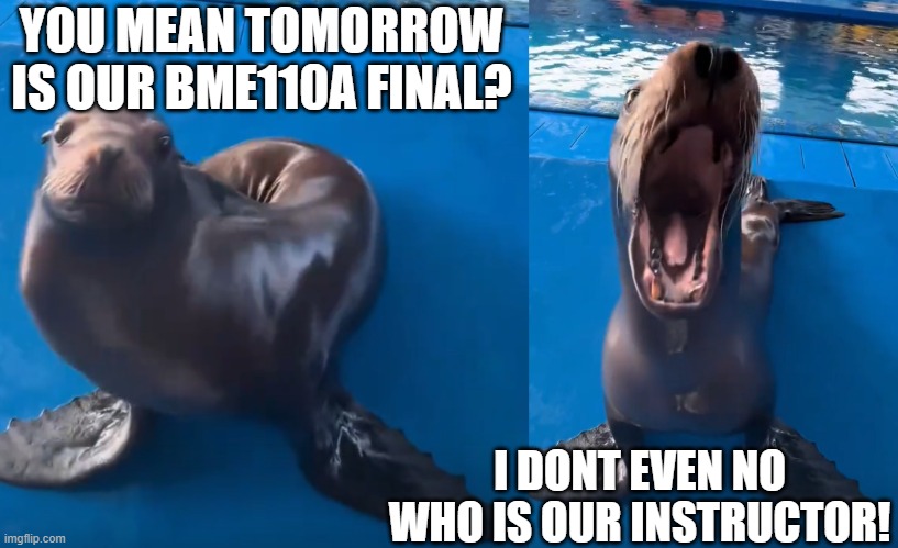 FINALS | YOU MEAN TOMORROW IS OUR BME110A FINAL? I DONT EVEN NO WHO IS OUR INSTRUCTOR! | image tagged in finals week | made w/ Imgflip meme maker
