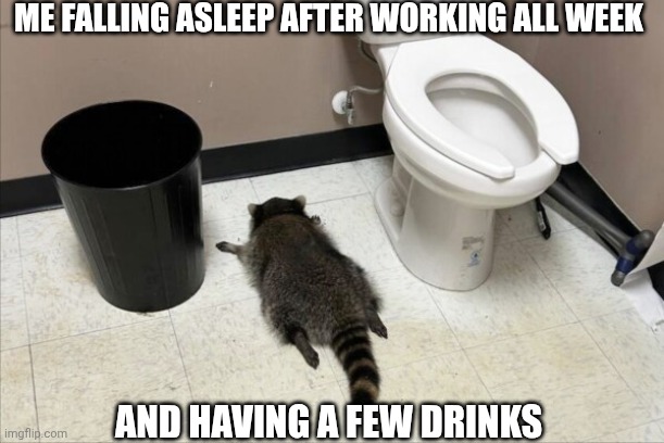 Work and Alcohol Puts Me To Sleep | ME FALLING ASLEEP AFTER WORKING ALL WEEK; AND HAVING A FEW DRINKS | image tagged in drunk raccoon,full time job,alcohol,weekend,sleep,tired | made w/ Imgflip meme maker