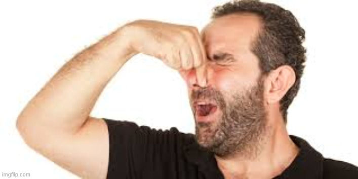 Nose clip 1 | image tagged in nose clip 1 | made w/ Imgflip meme maker