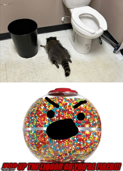 Only Regular Show Fans Will Get It | MOP UP THE LIQUOR OR YOU'RE FIRED!!! | image tagged in drunk raccoon,gumball machine,regular show,rigby,you're fired,benson | made w/ Imgflip meme maker
