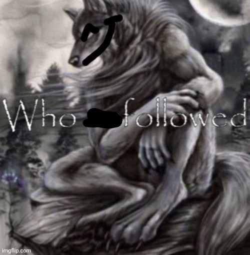 People aren't stupid bungholes! | image tagged in who unfollowed | made w/ Imgflip meme maker