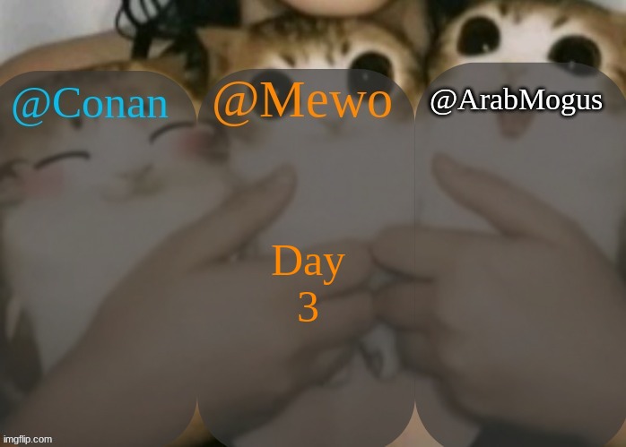 Conan, Mewo, Arabmogus shared template | Day 3 | image tagged in conan mewo arabmogus shared template | made w/ Imgflip meme maker