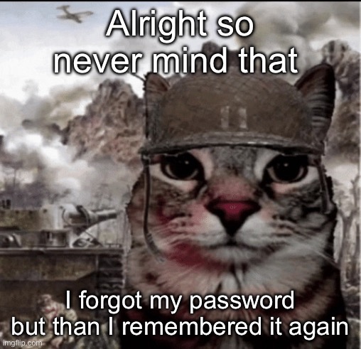 Thousand yard stare cat | Alright so never mind that; I forgot my password but than I remembered it again | image tagged in thousand yard stare cat | made w/ Imgflip meme maker