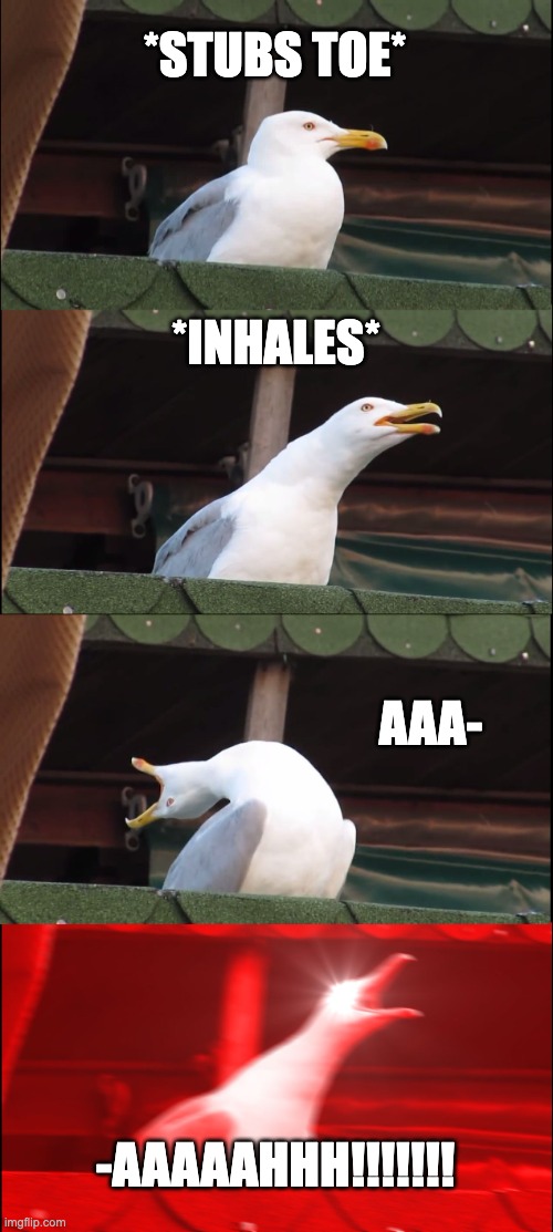Inhaling Seagull | *STUBS TOE*; *INHALES*; AAA-; -AAAAAHHH!!!!!!! | image tagged in memes,inhaling seagull | made w/ Imgflip meme maker