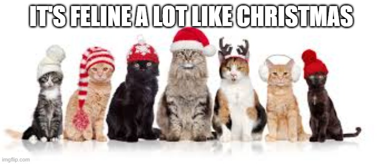 It's feline a lot like Christmas.   ---   funny   --- | IT'S FELINE A LOT LIKE CHRISTMAS | image tagged in cat,kittens,funny,humor,christmas,santa claus | made w/ Imgflip meme maker