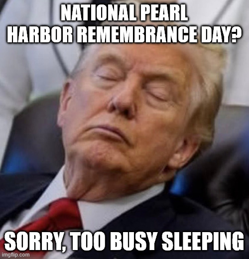 Trump sleeping | NATIONAL PEARL HARBOR REMEMBRANCE DAY? SORRY, TOO BUSY SLEEPING | image tagged in trump sleeping | made w/ Imgflip meme maker