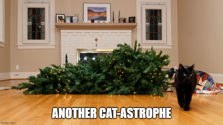 Another Christmas cat-astrophy   ---   funny   --- | ANOTHER CAT-ASTROPHE | image tagged in cat,kittens,funny,humor,christmas tree,christmas | made w/ Imgflip meme maker