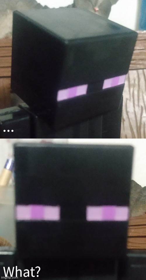 What? ... | image tagged in enderman stare | made w/ Imgflip meme maker