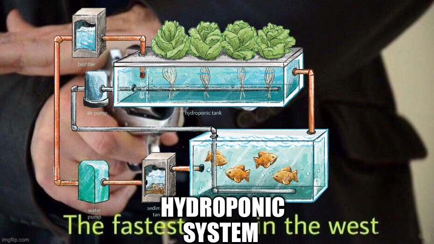 fastest draw | HYDROPONIC SYSTEM | image tagged in fastest draw | made w/ Imgflip meme maker