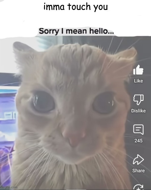 ____..sorry..I mean hello | imma touch you | image tagged in ____ sorry i mean hello | made w/ Imgflip meme maker