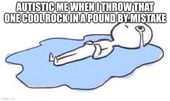 Real | AUTISTIC ME WHEN I THROW THAT ONE COOL ROCK IN A POUND BY MISTAKE | image tagged in lying on the floor crying | made w/ Imgflip meme maker