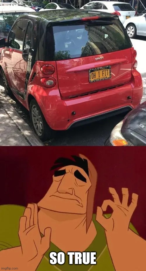 Parking | SO TRUE | image tagged in parking | made w/ Imgflip meme maker