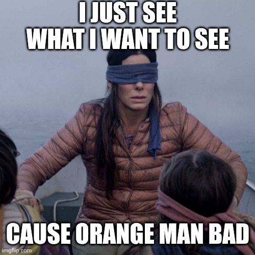 Bird Box Meme | I JUST SEE WHAT I WANT TO SEE CAUSE ORANGE MAN BAD | image tagged in memes,bird box | made w/ Imgflip meme maker