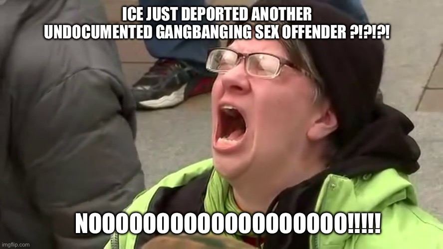 Screaming Libtard  | ICE JUST DEPORTED ANOTHER UNDOCUMENTED GANGBANGING SEX OFFENDER ?!?!?! NOOOOOOOOOOOOOOOOOOO!!!!! | image tagged in screaming libtard | made w/ Imgflip meme maker