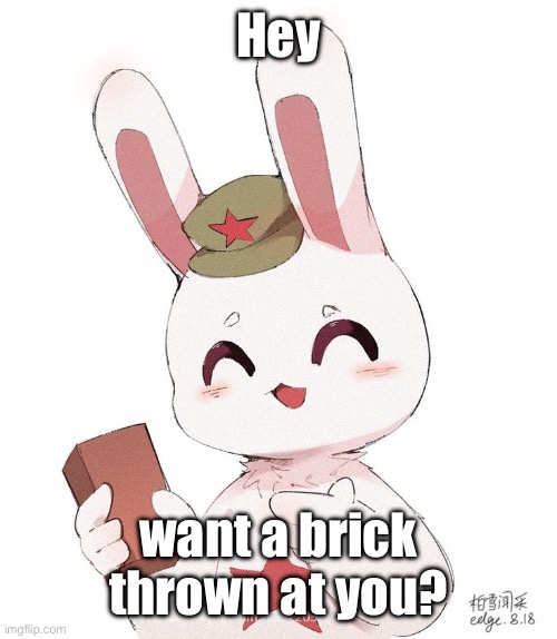 fnuuy bnuuy | Hey; want a brick thrown at you? | image tagged in funny,china,what,idk what to put here | made w/ Imgflip meme maker