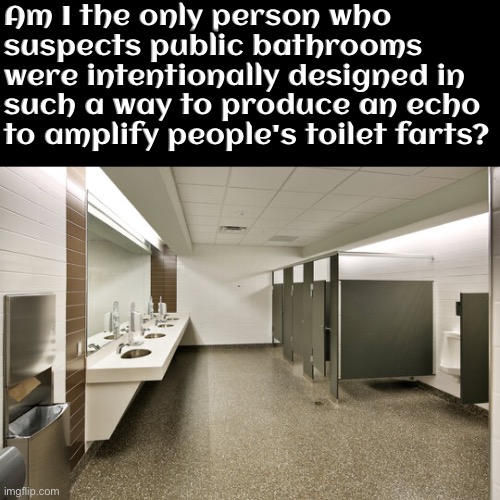 Was This Intentional | Am I the only person who suspects public bathrooms were intentionally designed in such a way to produce an echo to amplify people's toilet farts? | image tagged in farts,echo,public restrooms,potty humor,loud,am i the only one around here | made w/ Imgflip meme maker