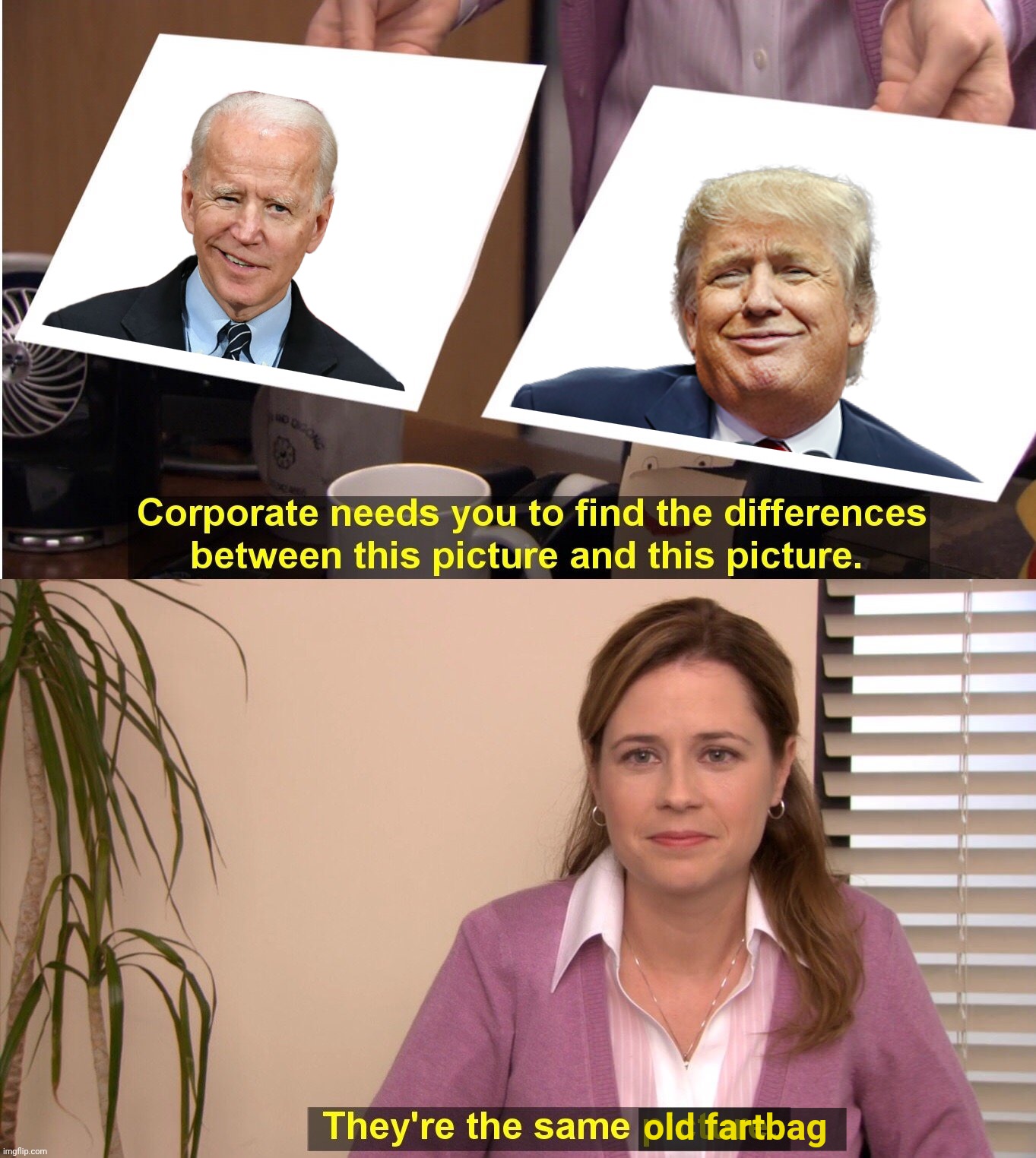 Biden and Trump, two of a grind | old fartbag | image tagged in memes,they're the same picture,joe biden,donald trump,dunderheads,addled geriatric cases | made w/ Imgflip meme maker