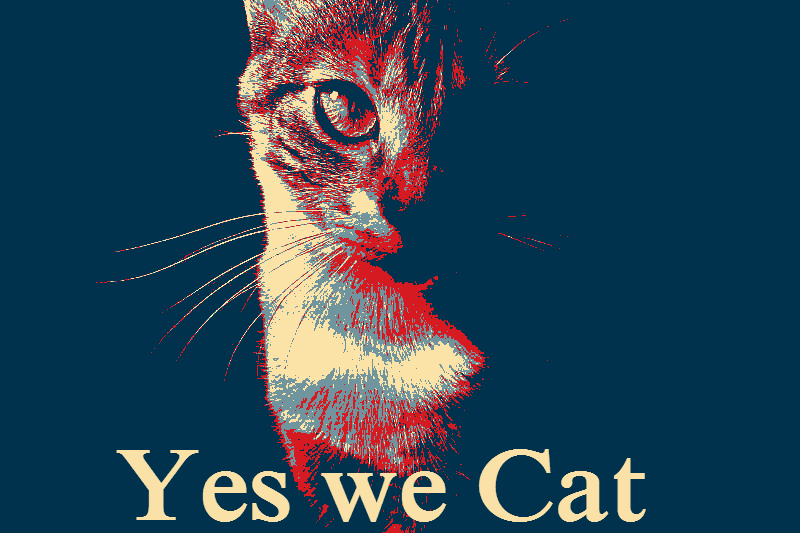 Yes we Cat | image tagged in funny,cats,yes we can,poster,animals