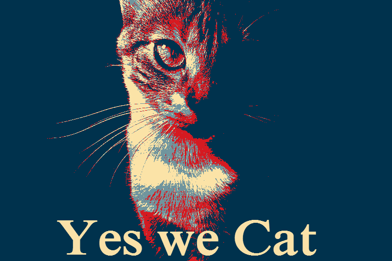 indeed we Cat