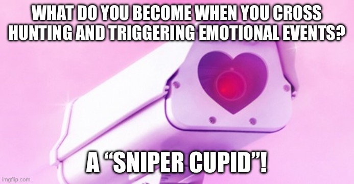 Security love camera | WHAT DO YOU BECOME WHEN YOU CROSS HUNTING AND TRIGGERING EMOTIONAL EVENTS? A “SNIPER CUPID”! | image tagged in security love camera | made w/ Imgflip meme maker
