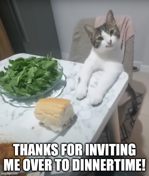 Thanks for inviting me over to dinnertime! | THANKS FOR INVITING ME OVER TO DINNERTIME! | image tagged in table,meal,dinner,cat,adorable,silly | made w/ Imgflip meme maker