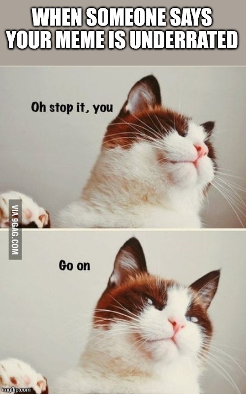 Oh stop it you cat | WHEN SOMEONE SAYS YOUR MEME IS UNDERRATED | image tagged in oh stop it you cat | made w/ Imgflip meme maker