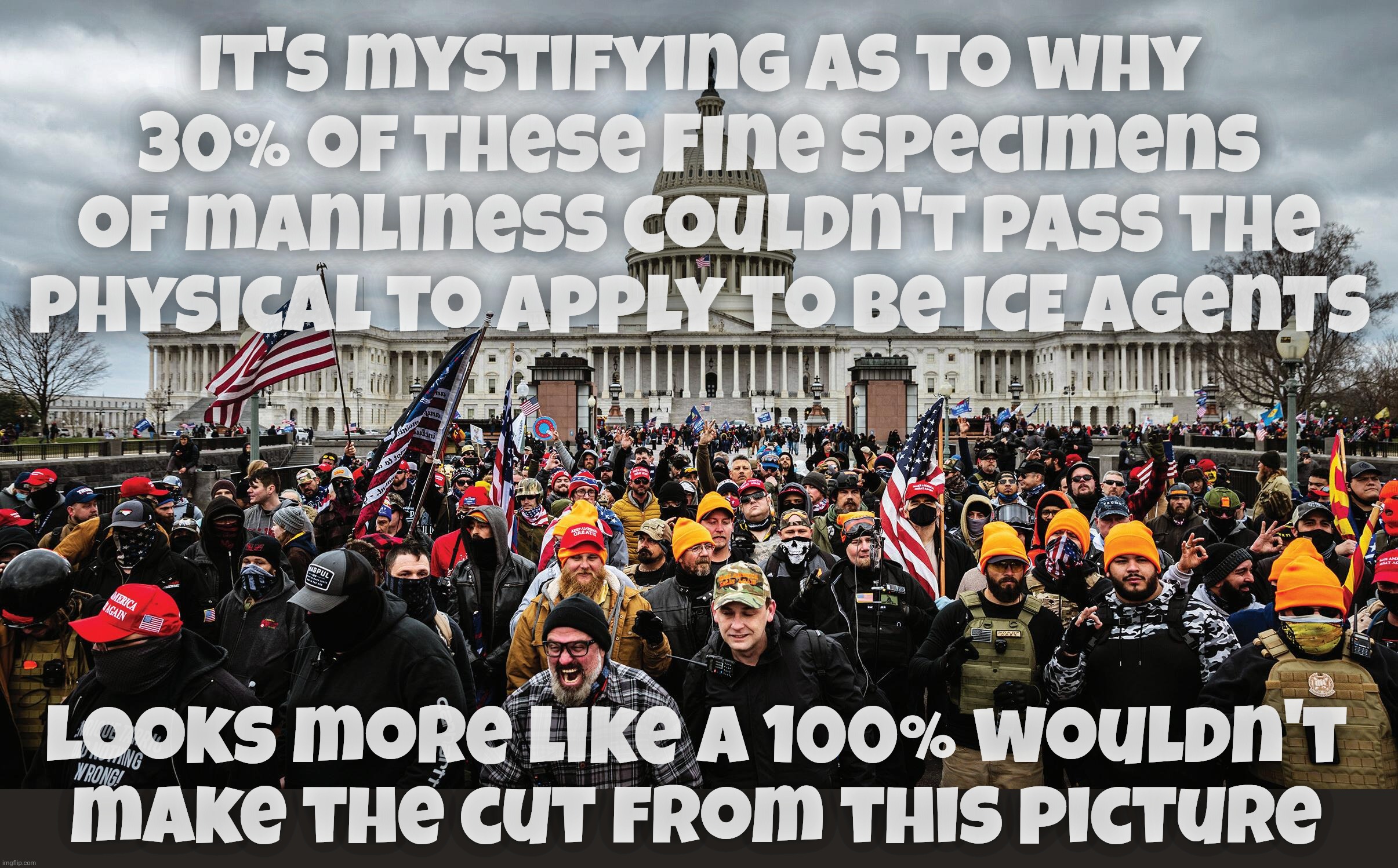 30% of ICE applicants this year couldn't pass the entry physical | It's mystifying as to why 30% of these Fine specimens of manliness couldn't pass the physical to apply to be ICE agents; Looks more like a 100% wouldn't make the cut from this picture | image tagged in january 6th capitol hill rioters,ice,can't pass the ice application physical,magats,trailer park rejects,dead enders | made w/ Imgflip meme maker