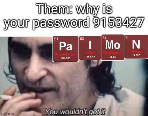 Geotic Password >:) | Them: why is your password 9153427 | image tagged in you wouldn't get it spacing | made w/ Imgflip meme maker
