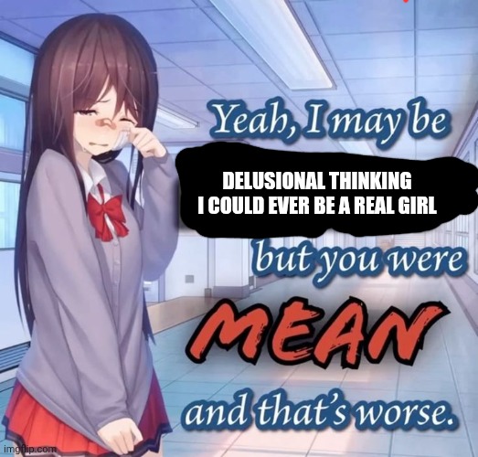 Yeah i may be racist but you were mean and that's worse | DELUSIONAL THINKING I COULD EVER BE A REAL GIRL | image tagged in yeah i may be racist but you were mean and that's worse | made w/ Imgflip meme maker