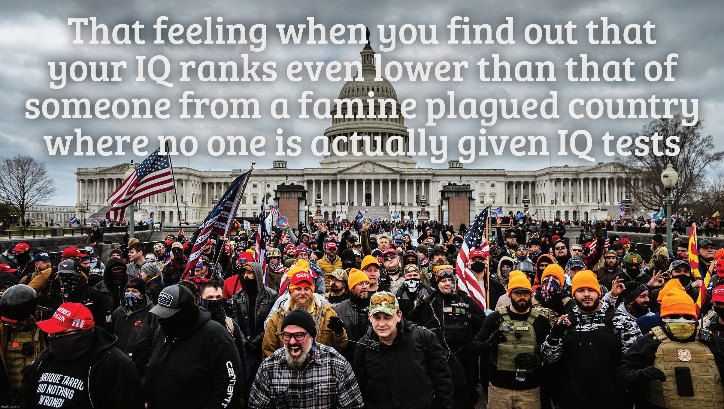 MAGAts actually have a triple digit IQ. No, really, collectively it adds up to a triple digit IQ. | That feeling when you find out that
your IQ ranks even lower than that of
someone from a famine plagued country
where no one is actually given IQ tests | image tagged in january 6th capitol hill riot,magat traitors,blight rash power,low iq,succumbing to their limitations,they are what they is | made w/ Imgflip meme maker