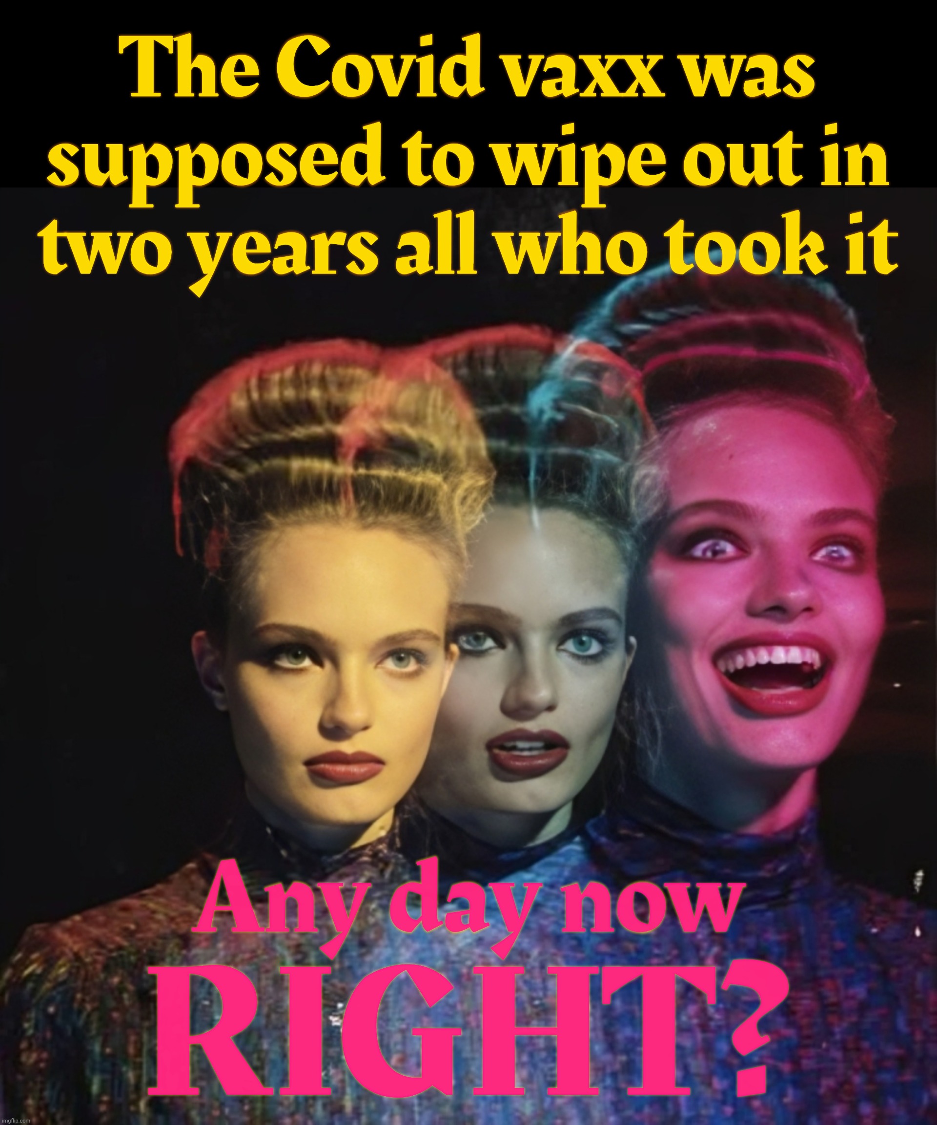 Hardy har har II | The Covid vaxx was
supposed to wipe out in
two years all who took it RIGHT? Any day now | image tagged in hardy har har ii | made w/ Imgflip meme maker