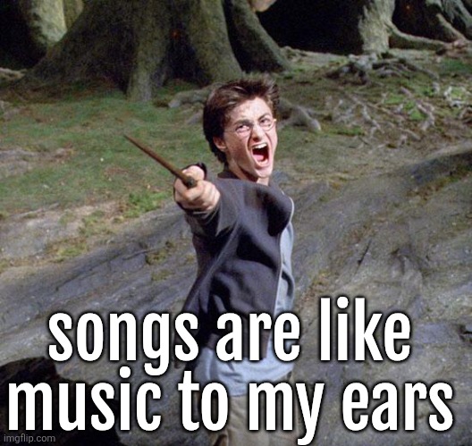 Harry potter | songs are like music to my ears | image tagged in harry potter | made w/ Imgflip meme maker