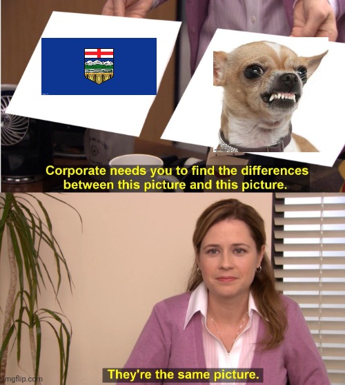 Canadian politics | image tagged in political meme | made w/ Imgflip meme maker