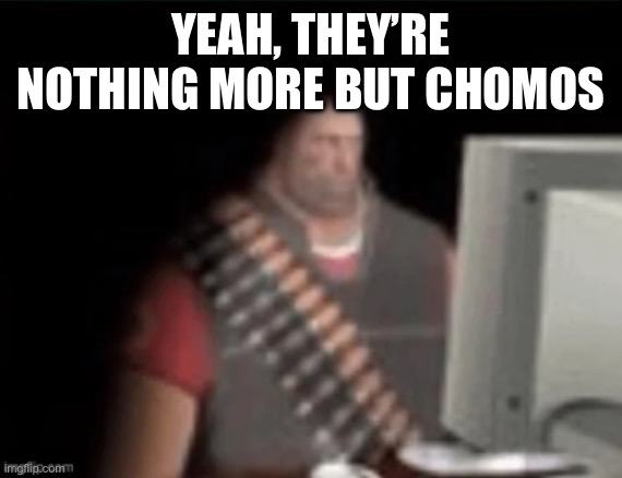 sad heavy computer | YEAH, THEY’RE NOTHING MORE BUT CHOMOS | image tagged in sad heavy computer | made w/ Imgflip meme maker