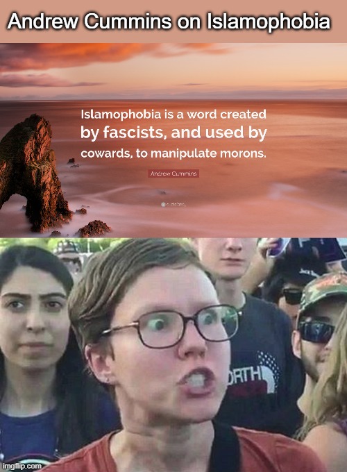 Andrew Cummins on Islamophobia | Andrew Cummins on Islamophobia | image tagged in triggered liberal,political,quotes | made w/ Imgflip meme maker