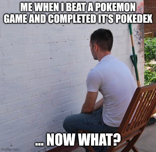 What now? | ME WHEN I BEAT A POKEMON GAME AND COMPLETED IT'S POKEDEX; ... NOW WHAT? | image tagged in bored,pokemon | made w/ Imgflip meme maker