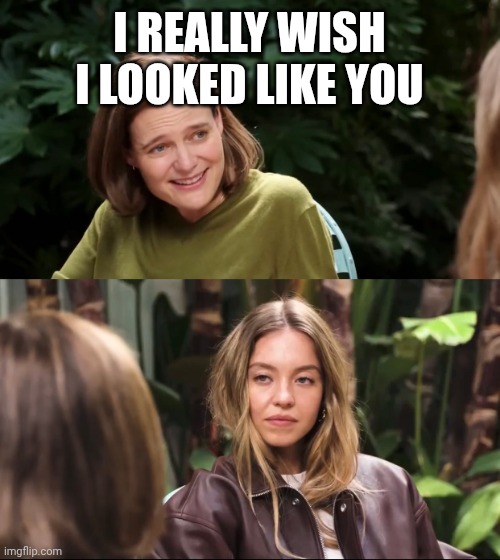Sydney Sweeney Jeans | I REALLY WISH I LOOKED LIKE YOU | image tagged in sydney sweeney jeans | made w/ Imgflip meme maker