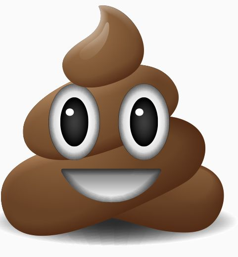 Shit emoji Blank Meme Template