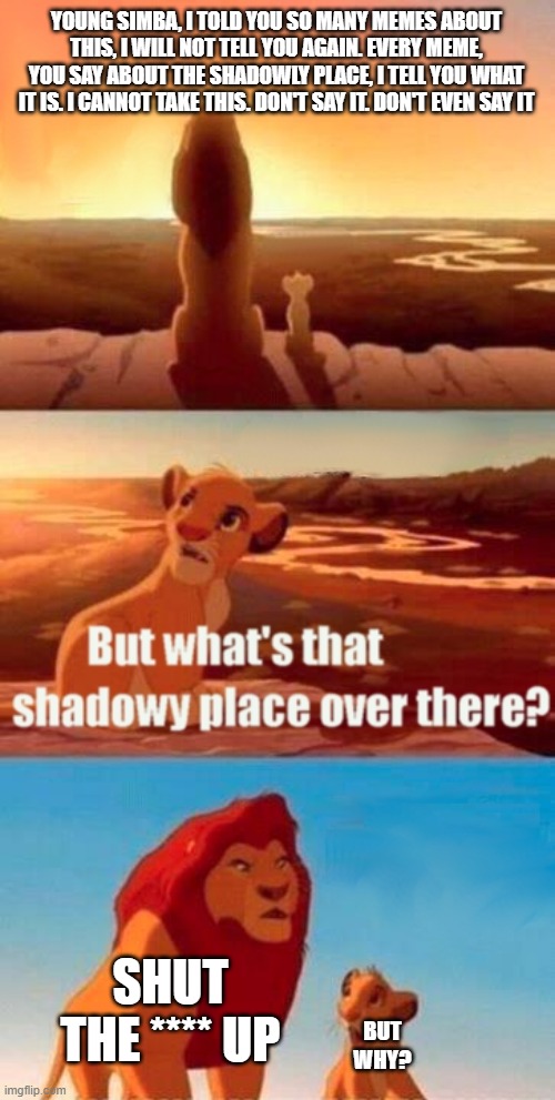 SIMBA THAT'S NOT NICE | YOUNG SIMBA, I TOLD YOU SO MANY MEMES ABOUT THIS, I WILL NOT TELL YOU AGAIN. EVERY MEME, YOU SAY ABOUT THE SHADOWLY PLACE, I TELL YOU WHAT IT IS. I CANNOT TAKE THIS. DON'T SAY IT. DON'T EVEN SAY IT; SHUT THE **** UP; BUT WHY? | image tagged in memes,simba shadowy place | made w/ Imgflip meme maker
