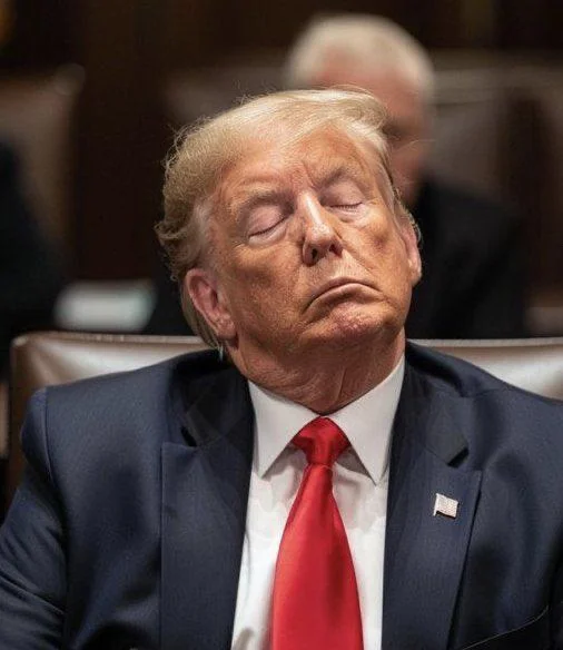 Trump Sleep Blank Meme Template