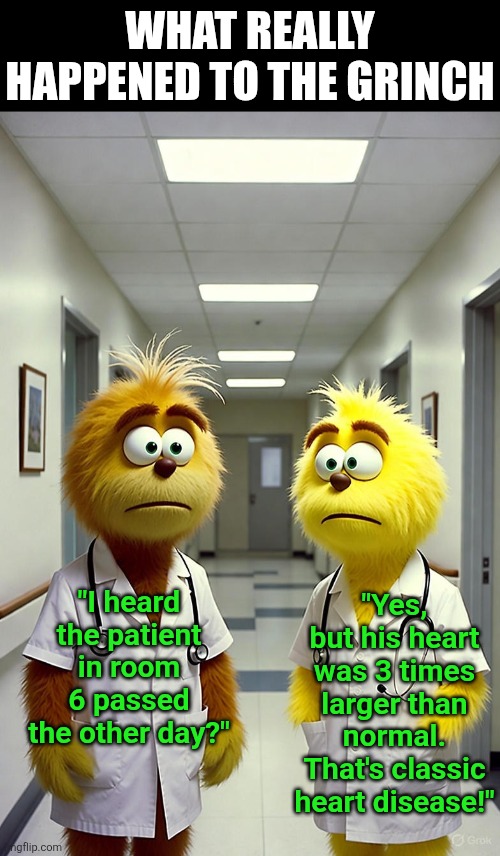 What really happened to The Grinch? Things you never thought of as a kid! | WHAT REALLY HAPPENED TO THE GRINCH; "Yes, but his heart was 3 times larger than normal. That's classic heart disease!"; "I heard the patient in room 6 passed the other day?" | image tagged in the grinch,the future,reality check,hospital,coincidence i think not,hearts | made w/ Imgflip meme maker