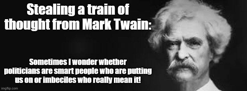 Mark Twain | Stealing a train of thought from Mark Twain:; Sometimes I wonder whether politicians are smart people who are putting us on or imbeciles who really mean it! | image tagged in mark twain | made w/ Imgflip meme maker