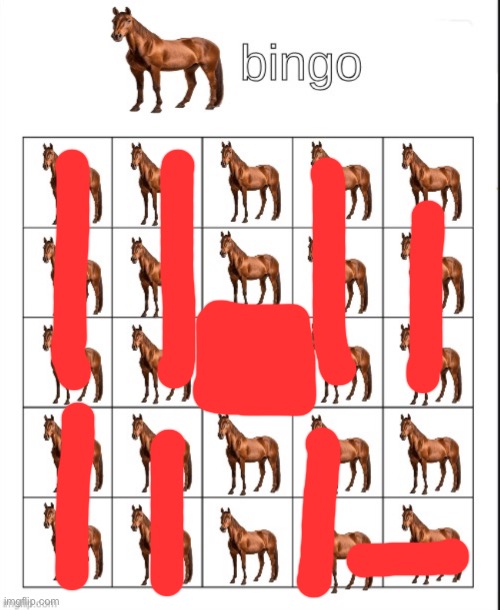 did I get a bingo | image tagged in bingo | made w/ Imgflip meme maker