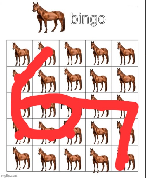 euthanasia | image tagged in bingo | made w/ Imgflip meme maker