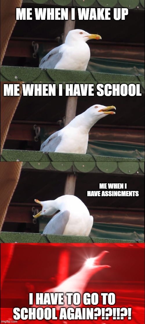 School days be like: | ME WHEN I WAKE UP; ME WHEN I HAVE SCHOOL; ME WHEN I HAVE ASSINGMENTS; I HAVE TO GO TO SCHOOL AGAIN?!?!!?! | image tagged in memes,inhaling seagull | made w/ Imgflip meme maker